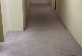 commercial carpet cleaning for condos and rental buildings