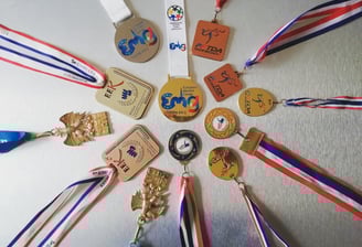 medailles deu palmares de stephane verrrando en Taekwondo