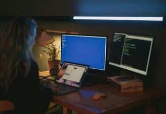 osint-live-training
