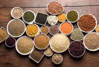 High-Quality Premium Pulses Supplier and Wholesaler in Siyaganj Indore – Sampurnaa Enterprises