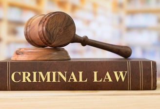 Criminal Law Support