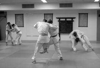 Ju-Jutsu Groitzsch