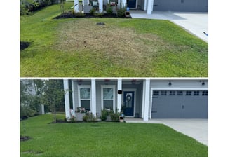 Savannah Quarters, Pooler, GA house weed control