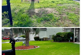 Weed control in Pooler, Guyton, Rincon, GA