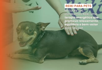 Reiki para Pets é na Lucky Vet, Pet Shop e Clínica Vererinária na Zona Norte de São Paulo