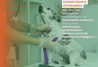 Ozônioterapia Veterinária é na Lucky Vet, Pet Shop e Clínica Vererinária na Zona Norte de São Paulo