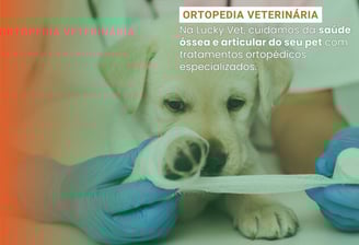 Ortopedia Veterinária é na Lucky Vet, Pet Shop e Clínica Vererinária na Zona Norte de São Paulo
