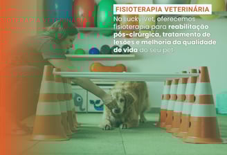 Fisioterapia Veterinária é na Lucky Vet, Pet Shop e Clínica Vererinária na Zona Norte de São Paulo