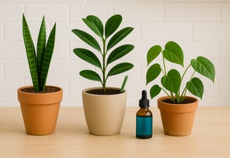 Three houseplants with liquid, granular, spike, and organic fertilizers on a wooden surface.