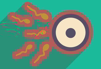 PESTICIDES SANTÉ HOMMES SPERMATOZOIDES