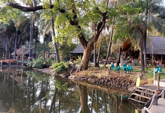 Abca's Creek Lodge, gelegen aan een rustige kreek en omringd door mangroven, biedt een serene ontsna