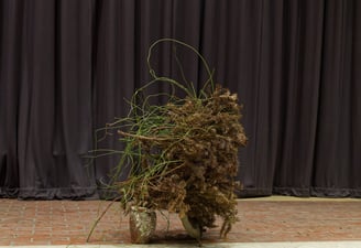 Ikebana performance-installation incorporating collected materials from Chelsea Physic Garden