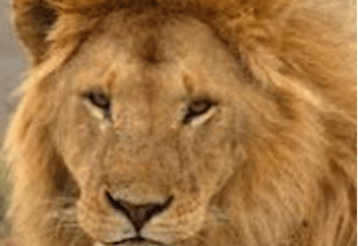 Prophecy Yahweh Spirit prayer