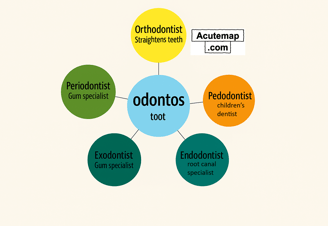 Odontos root word chart SSC UPSC vocabulary from Word Power Made Easy