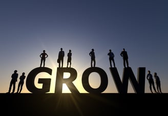 Organizational Development - Grow image