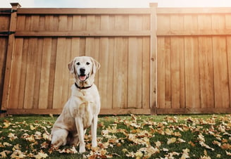 Fence Installation for dogs, children , home and commercial E&H Straightline Parrish Fl