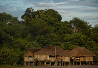 a hut with a thatched roof and a hut with a thatched roof