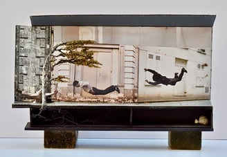 3D Collage - Helga Van Straler