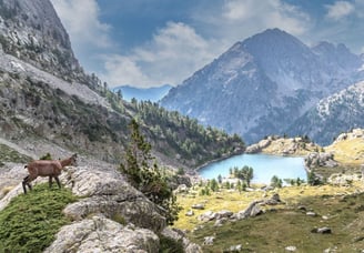 Alps Provence Scenic Mountain Lake Mercantour
