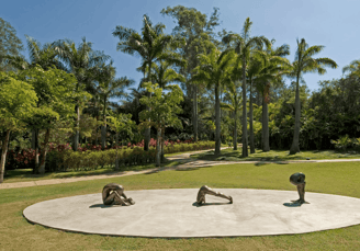 Edgard de Souza, 2000/2005, Da coleção de: Instituto Inhotim