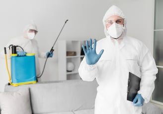 mold-removal-provo-ut-mi