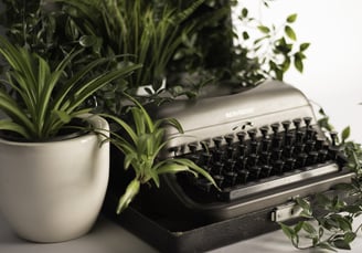 Spider plant with typewriter