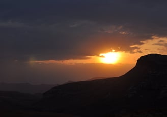 Vulture feeding project, Golden Gate Highlands National Park, South Africa