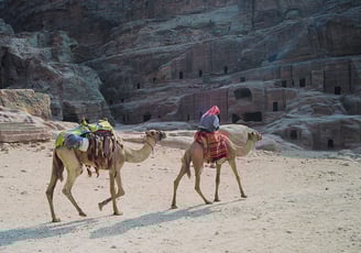 Aventures avec les nomades bédouins en Jordanie – rencontres, traditions et vie dans le désert