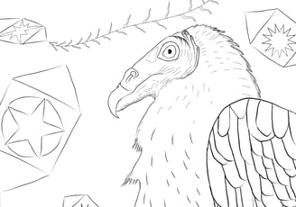 Download Gratuito - Urubu-de-cabeça-amarela - Para Colorir - Coleção Aves Daqui.