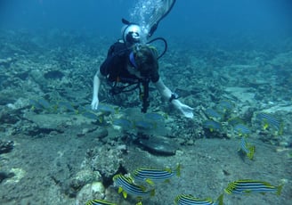 Diving on Havelock and Neil Islands, Andaman and Nicobar Islands