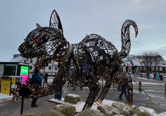 around the streets of Reykjavik, Iceland