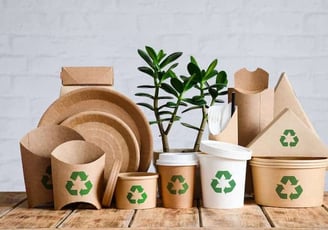 a group of paper cups with a plant in a cardboard box
