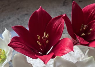 Sugar Flowers For Cakes Amaryllis