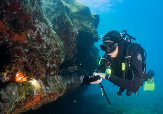 House-reef diving 