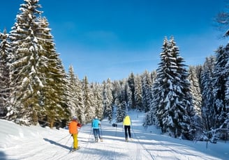 Skifahren im Bayerischen Wald Pröller St. Englmar