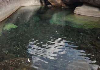 Tugela gorge walk and Policemans Helmet, Thendele Upper Camp, Drakensberg Amphitheatre, South Africa