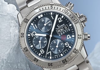Sinn 206 Series