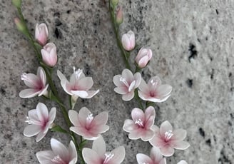 Freesia Sugar Flowers For Cakes