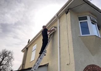 Installing swift nesting box