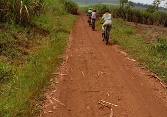 Cycling in Sugar canes in Jinja