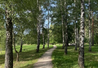 Dauguviečio parkas