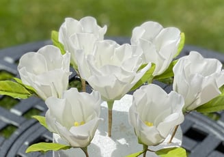 Sugar Flowers