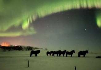 Aurora borealis or  Northern Lights near Selfoss, Iceland