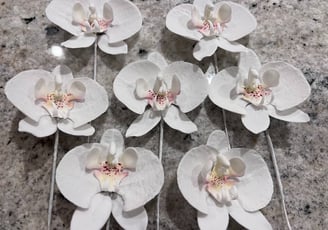 Moth Orchid Sugar Flowers For Cakes