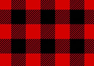 A closeup of a red and black check plaid pattern.