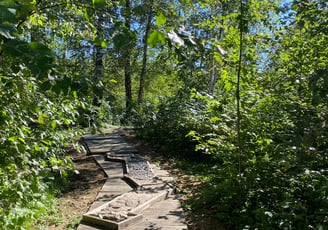 Eko basų kojų parkas Biržuose, Biržai
