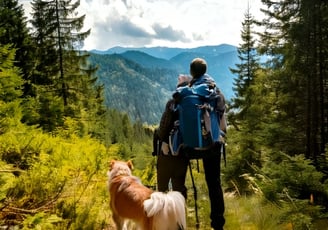 Urlaub mit Hund im Bayerischen Wald St Englmar
