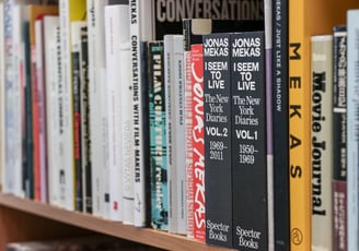 Jonas Mekas, Jono ir Adolfo Mekų palikimo studijų centras