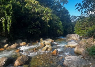 Mountain torrent Lai Chau North Vietnam