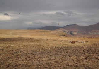 Vulture feeding project, Golden Gate Highlands National Park, South Africa